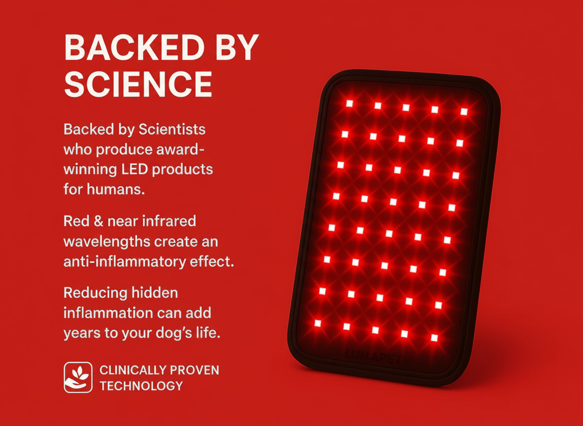 Old Pet Red Light Pad